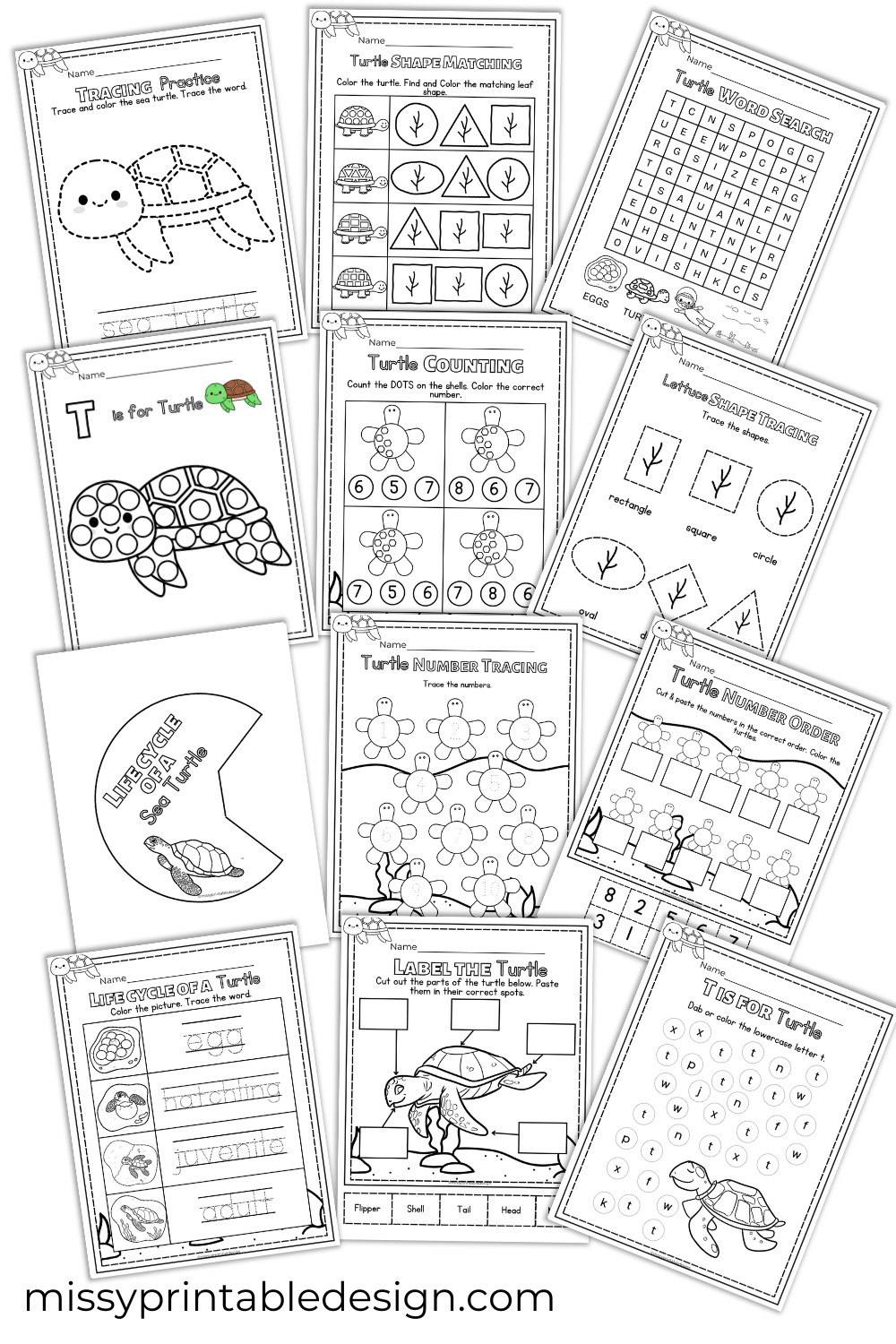 Sea Turtle Worksheets