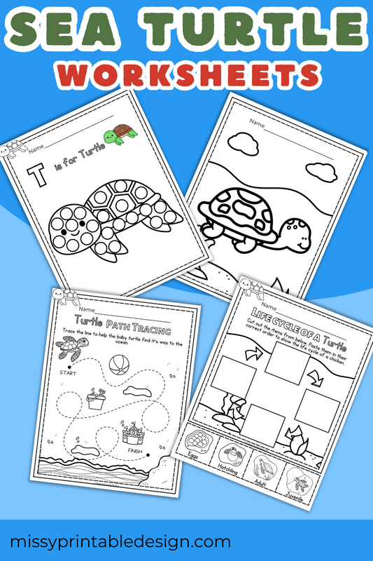 Sea Turtle Worksheets